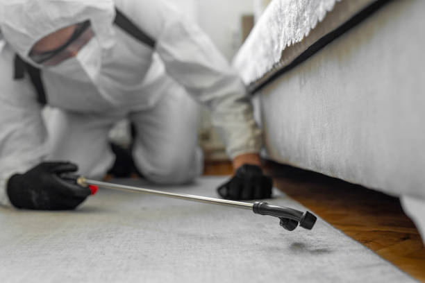 Professional Pest Control technician working in Butte, MT