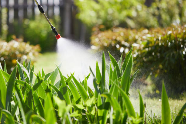 24/7 Emergency Pest Control experts in Butte, MT