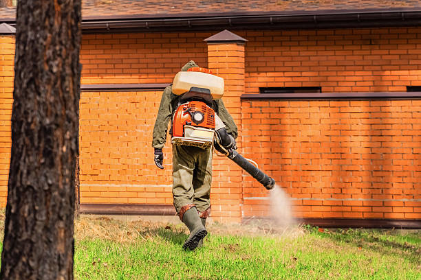 Top rated local Pest Control specialists in Butte, MT